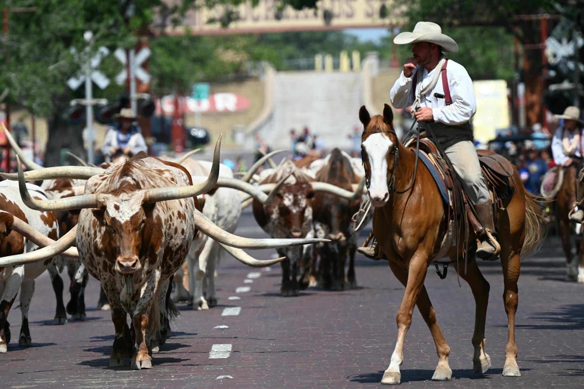 Fort Worth Stockyards representing day trips from Frisco to Fort Worth TX