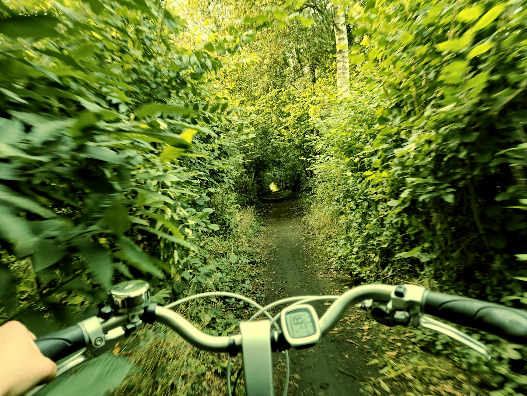 Biking trail representing cycling paths in parks in Frisco TX
