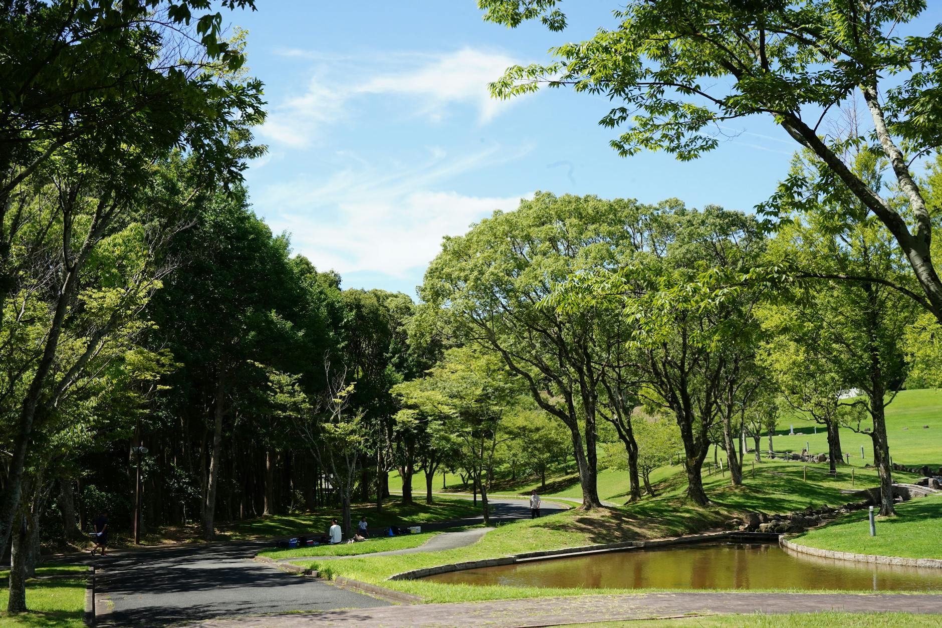 Beautiful park with walking paths representing parks in Frisco TX