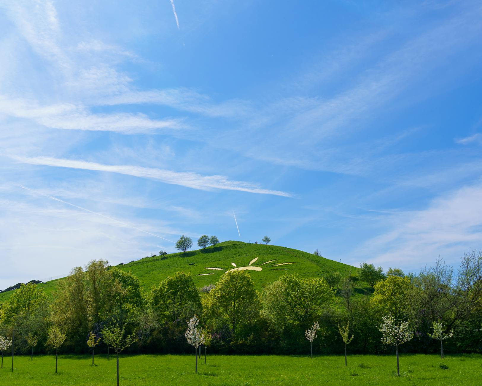 Sunny Texas landscape representing weather for Frisco TX vacation planning