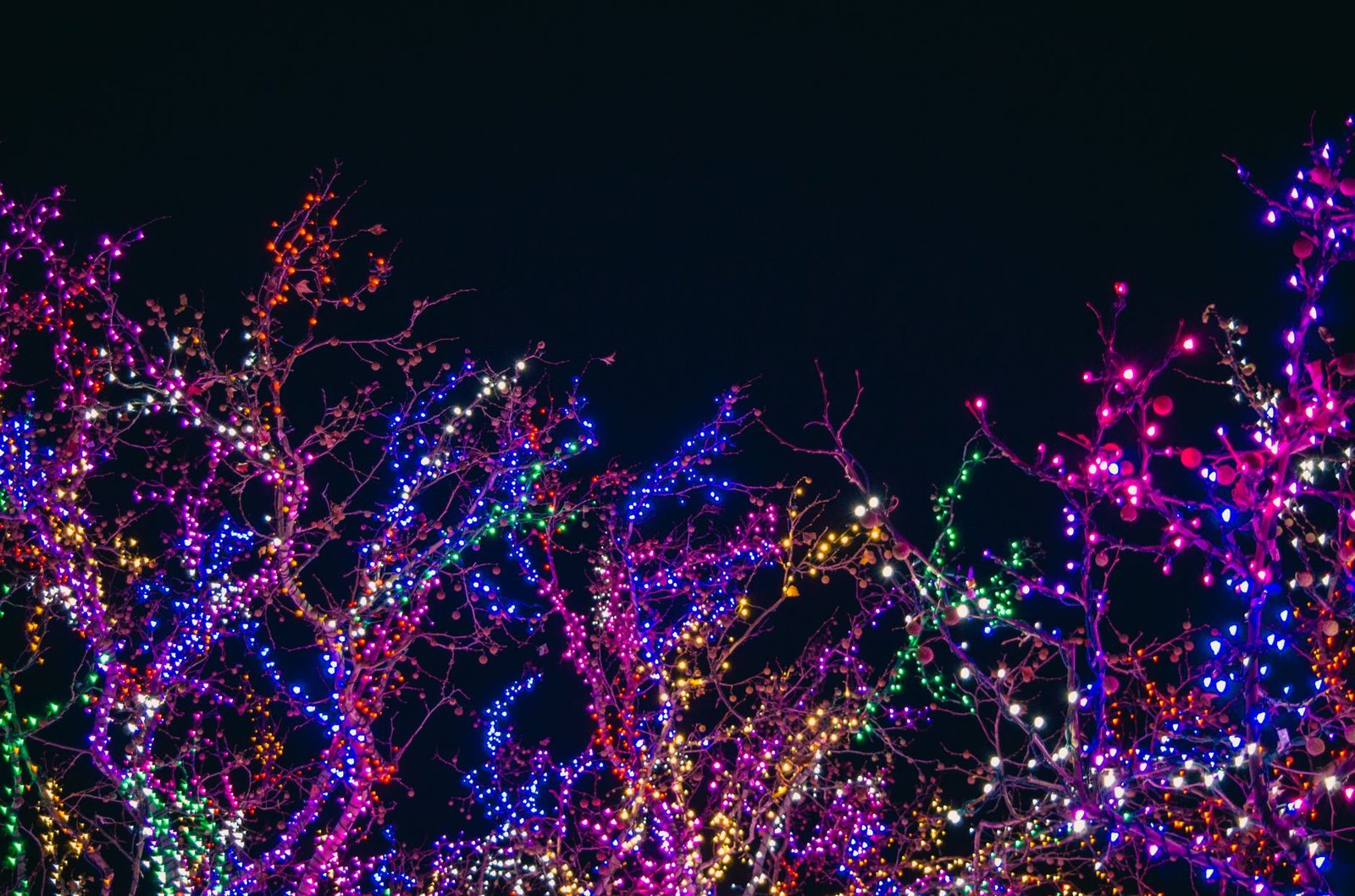 Choreographed Christmas lights display at night, like Christmas in the Square, one of the top Frisco TX Christmas events