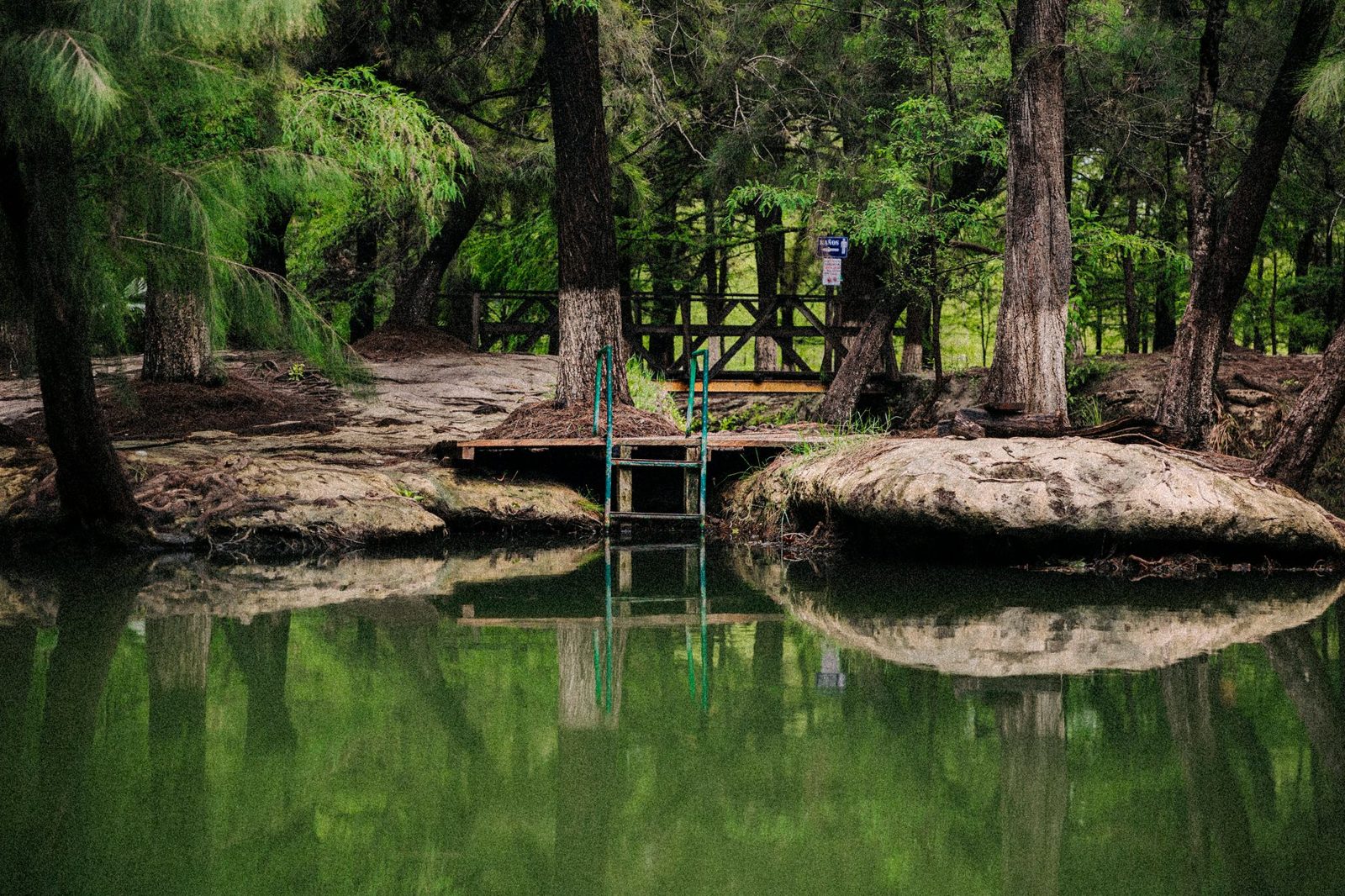 A quiet neighborhood park pond of the kind you find fishing Frisco TX