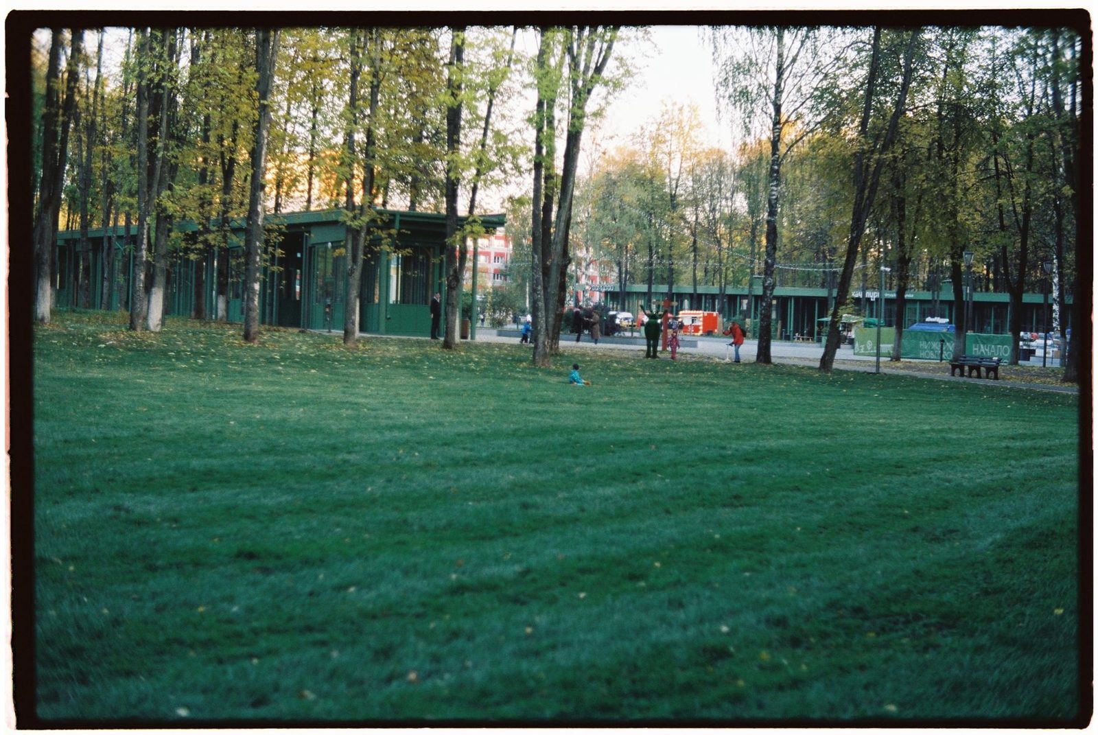 Open park green space, the kind of casual course layout found in Frisco TX disc golf