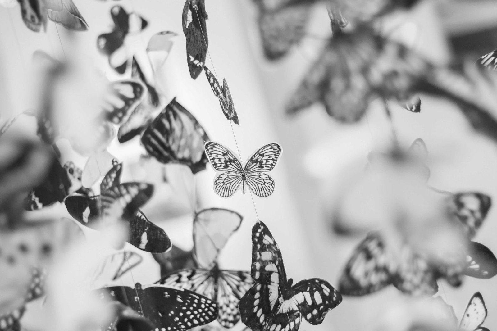 Colorful hanging butterfly art installation in a Frisco Texas park