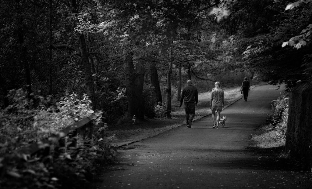 Black-and-white view of people walking dogs along a paved path through shady woods