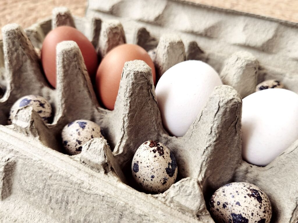 Brown, white and speckled quail eggs in a gray cardboard egg carton