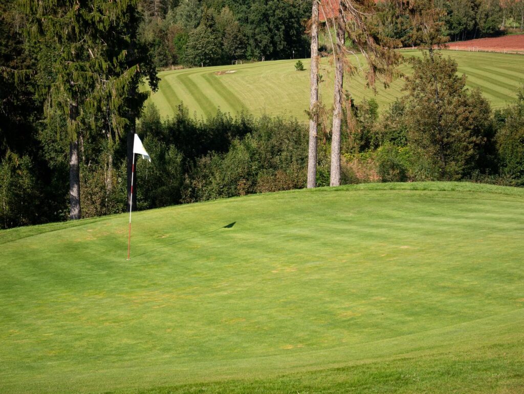 Flagstick on a striped putting green framed by tall evergreen trees