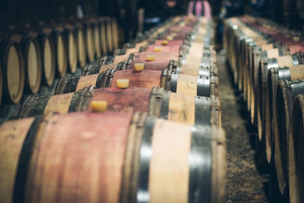 Long rows of oak wine barrels aging in a dim cellar
