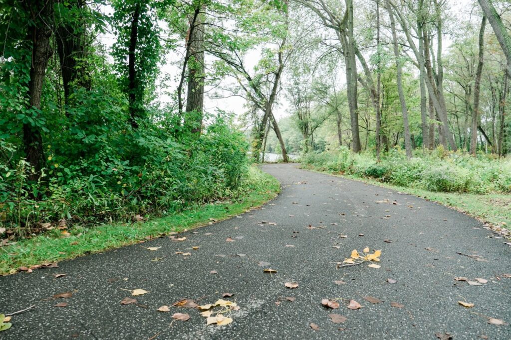 Paved park path curving through green trees with fallen autumn leaves