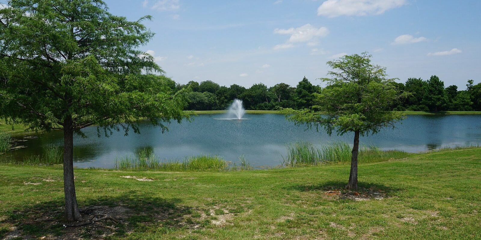 Pond with a fountain framed by shade trees at Frisco Commons Park in Frisco, Texas