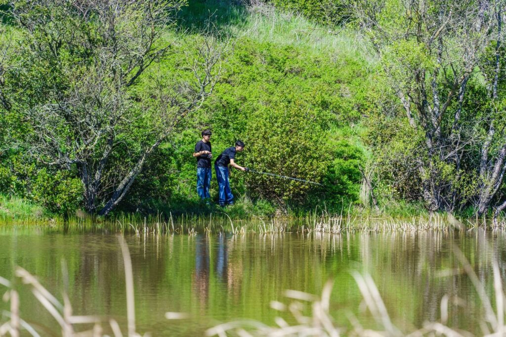 Two people fishing from the grassy bank of a calm, tree-lined pond